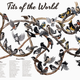 Illustration for article titled Check Out These Tits (The Birds, That Is)